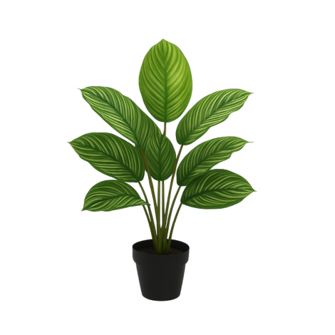 Pin Stripe Calathea Artificial Plant with Decorative Leaves